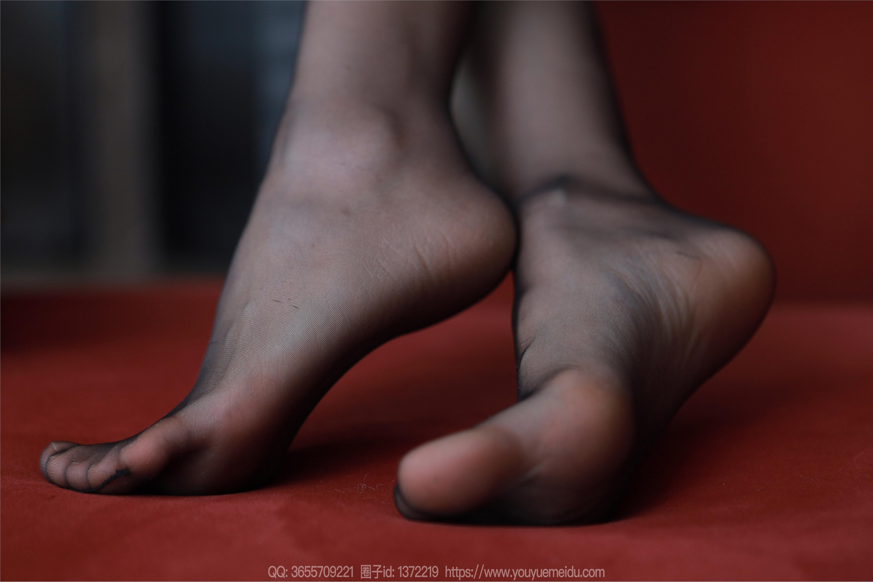 IESS异思趣向  2024.04.11 丝享家 1713 小婕《红色沙发（下）》